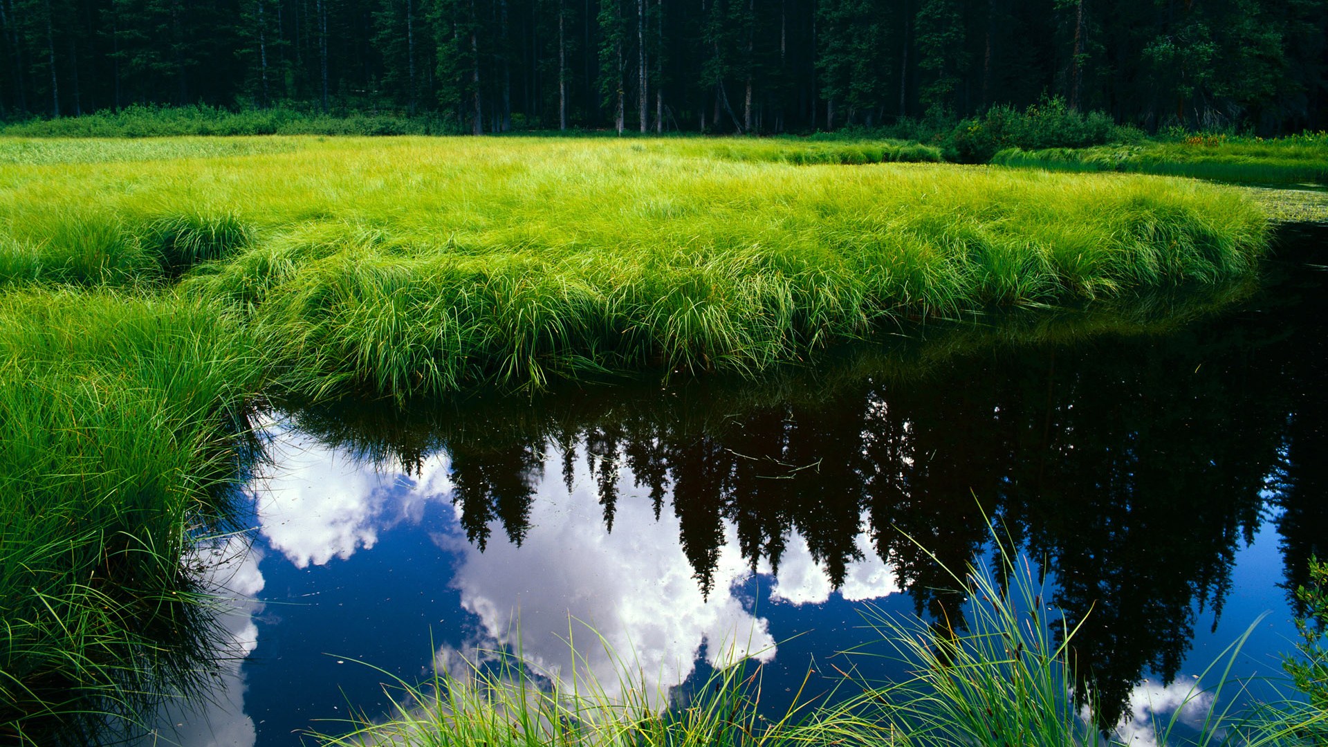 在季后赛关键战中，库里连续三场“疯狂三分”，帮助勇士一路高歌！