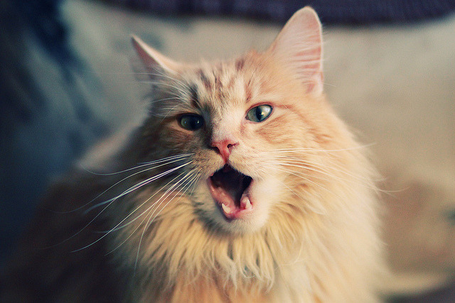 九游(jiuyou)官方网站-全国青少年“篮球文化+旅游”融合项目在昆明盛大启动，打造体育旅游新热点