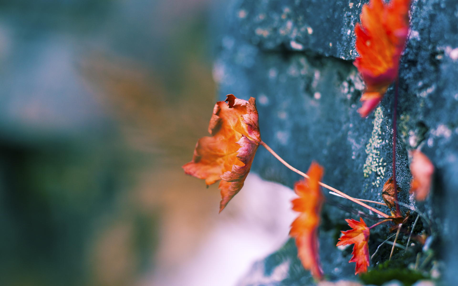 九游娱乐-媒体专访：台球运动的未来听我说，台球未来的发展